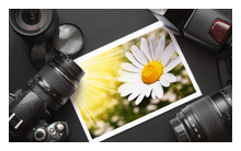 网站ddos隐藏源ip